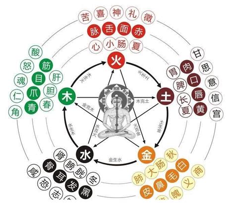 五行相泄|八字入门之五行生克耗泄的关系